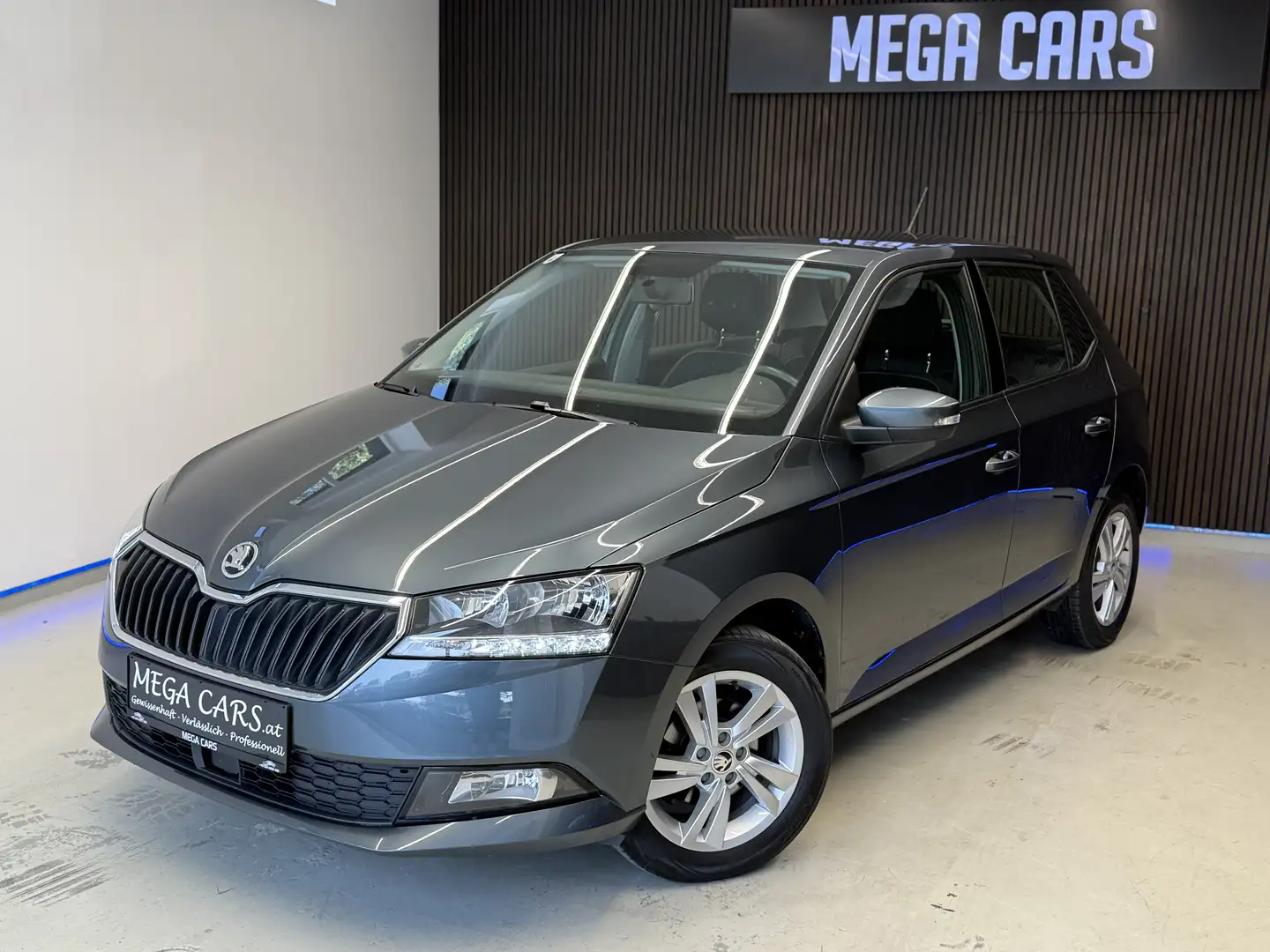 Skoda Fabia Ambition / 1. Besitzer / 20% MWST. / KAMERA /